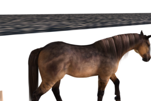 the horse model by Deamonox