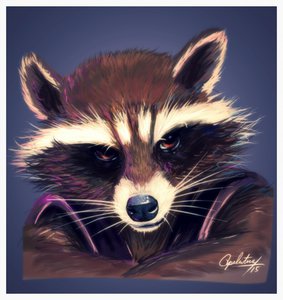 Rocket Raccoon by Apel
