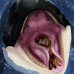 Orca Vore by MrHuggles