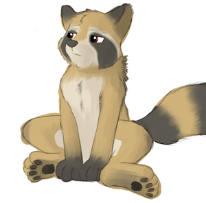 Raccoon by mired