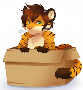 *My* Box! by Saba