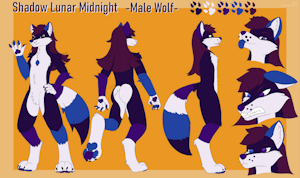 New character sheet by ShadowMidnight