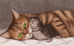 Cat & Kitten by InsaneProxy