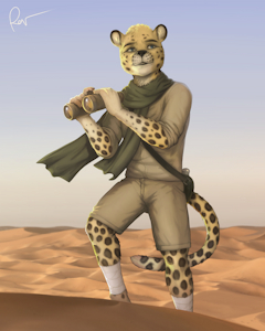 Desert scout by horserov