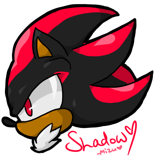 shiny shadow by mizuuu