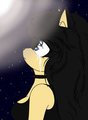 Do You Wanna See The Stars Before They Fall?  by DarkRose1223