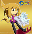 Coffee The Echidna in Sonic X  by CoffeeEchidna