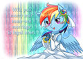 Rainbow Pride