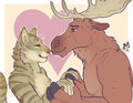 Cat-Moose love by Jay1743