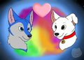 Puppy Love by SilverWolf163