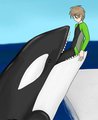 [vore] orca by lycovore