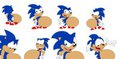 Sonic's Multiple Bellies by HeavyMetalRules