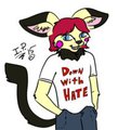 Down With Hate by InsaneProxy