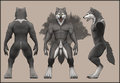 Vargore Werewolf Ref Sheet by Vargore