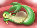 Smug n' Satisfied Snivy by Mewscaper