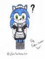 Sonic Maid RQ by ZeroTheMetalCat