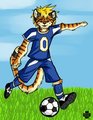 Sports Series - Soccer by aubreywretched