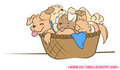 A Basket of Cute! by Catfiddle