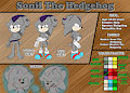 Sonil the Hedgehog by Sonil