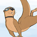 Otter Swimmer