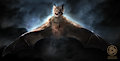 Vampire bat morph by lutra1975