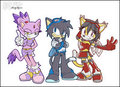 Sonic Riders - Team Pussy by Purity by frostcat