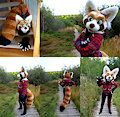 Red Panda Fursuit (for sale!) by SilentRavyn