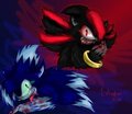 Shadow and Sonic (Werehogs)