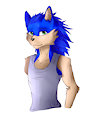 Sonic the Hedgehog-Anthro (my style) by SonicD00dl3r