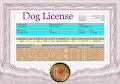 Loupy's dog license by Loupy
