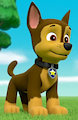Chase from PAW Patrol by JSalinari1983