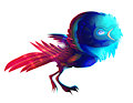 SeldomSeenSpeciesSunday - Superb Bird of Paradise