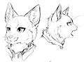 Supporter Headshots Sketchy Practice