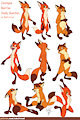 Zootopia Study Sketches - Red foxes by RobCivecat