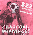 $22 Charcoal Drawings - postage included! by rourkie