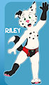 Riley Reference Sheet! by RileyPup