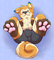 pawies by Gaokun