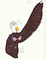 Freely Bald Eagle by Insanebluryyiff