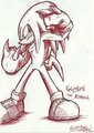 Knuckles the Echizna or echidna?? by Mimy92Sonadow
