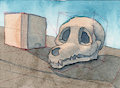 Watercolor Challenge Day 16 - Anthro Canine Skull by MothAndPodiatrist