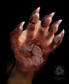 An otter morphs paw / Transformation done by lutra1975