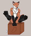Fox on a Box by Foxrich