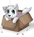 A Wolf in a Box by WolfeMan