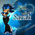 ~:Sarah the hedghog:~ by NeoDeon0308