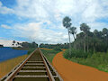 Tropical Railroad Tracks Scene by moyomongoose