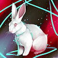 Bunny by danjiisthmus