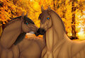 Autumn secret love by Swag2Dragon