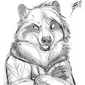 Raccoon Sketch Commission by Lizet