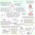 Foot tutorial 2020 by DrJavi