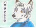 Cizkaro badge by Skulldog by cizkaro